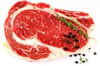 Bio-Chuck Eye Bio-Chuck Eye